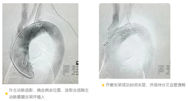 微信图片_20230811080617.png