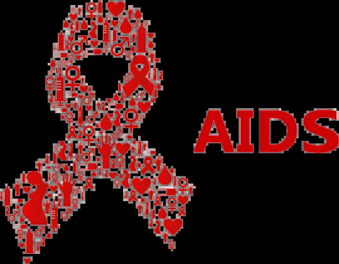 1764547743301867.jpg 640.webp.jpg